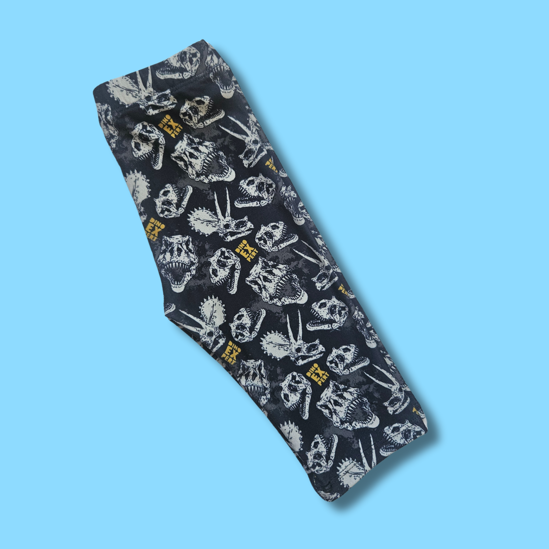 Dino Expert Kids Capri Leggings
